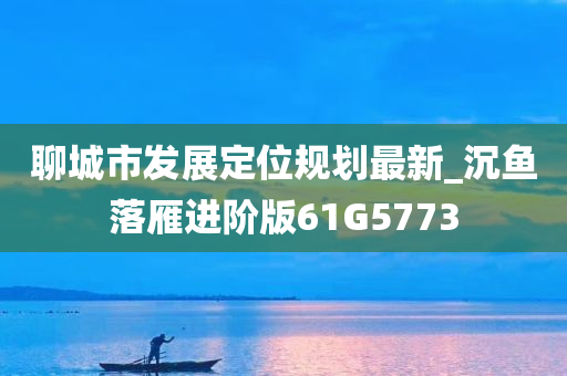 聊城市发展定位规划最新_沉鱼落雁进阶版61G5773