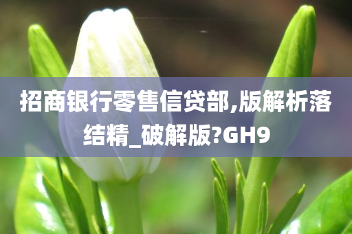 招商银行零售信贷部,版解析落结精_破解版?GH9