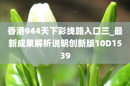 香港944天下彩线路入口三_最新成果解析说明创新版10D1539