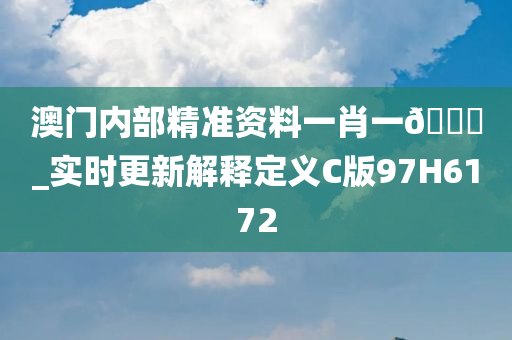 澳门内部精准资料一肖一🐎_实时更新解释定义C版97H6172