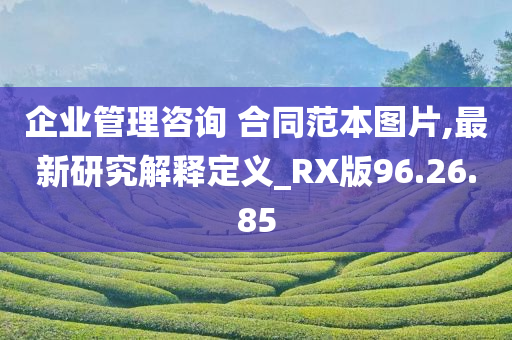 企业管理咨询 合同范本图片,最新研究解释定义_RX版96.26.85