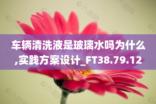 车辆清洗液是玻璃水吗为什么,实践方案设计_FT38.79.12