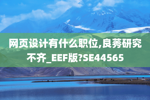 网页设计有什么职位,良莠研究不齐_EEF版?SE44565