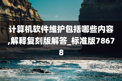 计算机软件维护包括哪些内容,解释复刻版解答_标准版78678