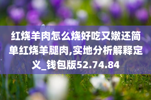 红烧羊肉怎么烧好吃又嫩还简单红烧羊腿肉,实地分析解释定义_钱包版52.74.84