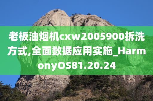 老板油烟机cxw2005900拆洗方式,全面数据应用实施_HarmonyOS81.20.24