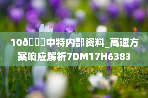 10🐎中特内部资料_高速方案响应解析7DM17H6383