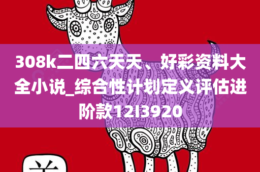 308k二四六天天、好彩资料大全小说_综合性计划定义评估进阶款12I3920