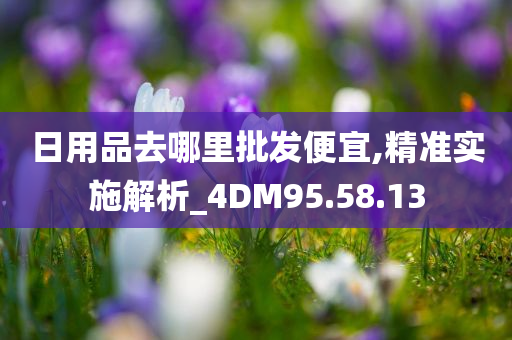 日用品去哪里批发便宜,精准实施解析_4DM95.58.13