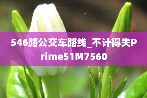 546路公交车路线_不计得失Prime51M7560