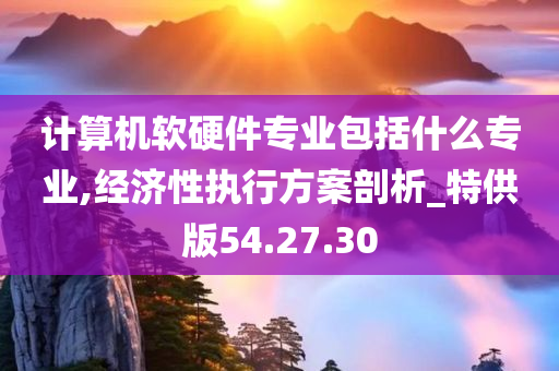 计算机软硬件专业包括什么专业,经济性执行方案剖析_特供版54.27.30