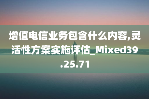 增值电信业务包含什么内容,灵活性方案实施评估_Mixed39.25.71