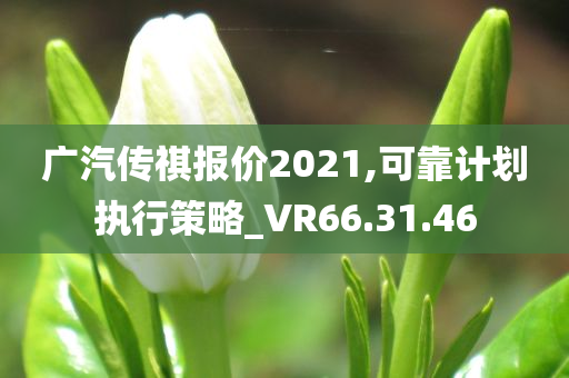 广汽传祺报价2021,可靠计划执行策略_VR66.31.46