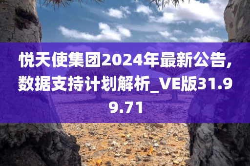 悦天使集团2024年最新公告,数据支持计划解析_VE版31.99.71