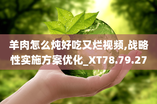 羊肉怎么炖好吃又烂视频,战略性实施方案优化_XT78.79.27