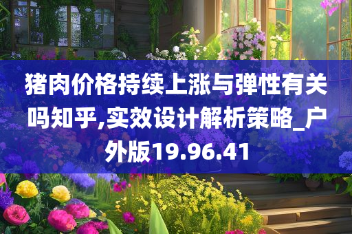 猪肉价格持续上涨与弹性有关吗知乎,实效设计解析策略_户外版19.96.41