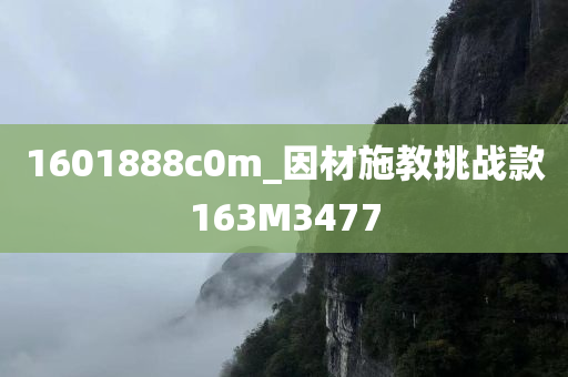 1601888c0m_因材施教挑战款163M3477