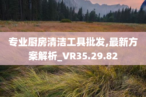 专业厨房清洁工具批发,最新方案解析_VR35.29.82