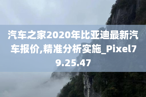 汽车之家2020年比亚迪最新汽车报价,精准分析实施_Pixel79.25.47