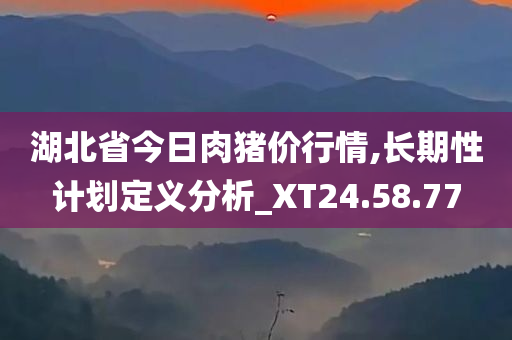 湖北省今日肉猪价行情,长期性计划定义分析_XT24.58.77