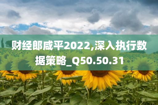 财经郎咸平2022,深入执行数据策略_Q50.50.31