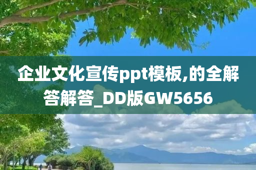 企业文化宣传ppt模板,的全解答解答_DD版GW5656