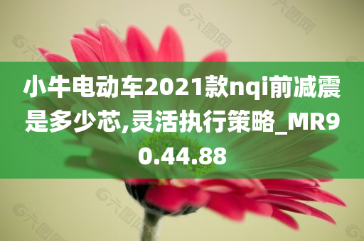 小牛电动车2021款nqi前减震是多少芯,灵活执行策略_MR90.44.88