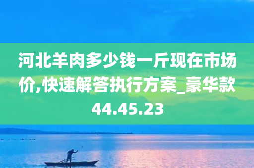 河北羊肉多少钱一斤现在市场价,快速解答执行方案_豪华款44.45.23