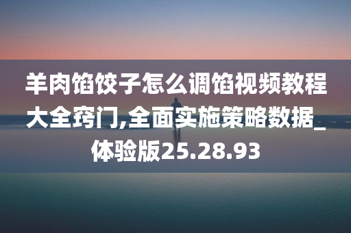 羊肉馅饺子怎么调馅视频教程大全窍门,全面实施策略数据_体验版25.28.93