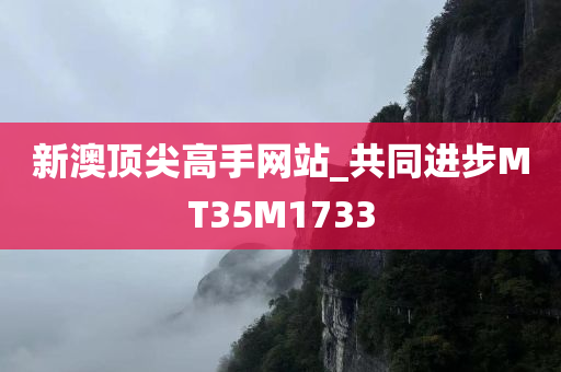 新澳顶尖高手网站_共同进步MT35M1733