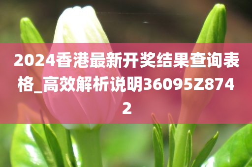 2024香港最新开奖结果查询表格_高效解析说明36095Z8742