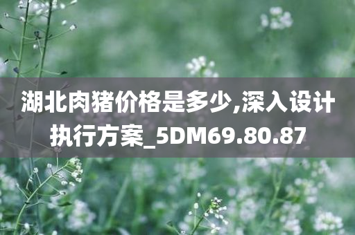 湖北肉猪价格是多少,深入设计执行方案_5DM69.80.87