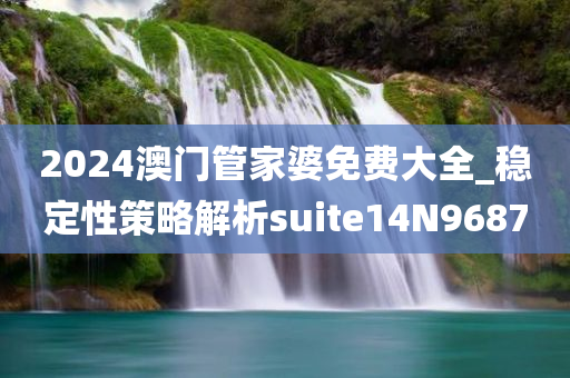 2024澳门管家婆免费大全_稳定性策略解析suite14N9687