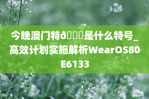 今晚澳门特🐎是什么特号_高效计划实施解析WearOS80E6133