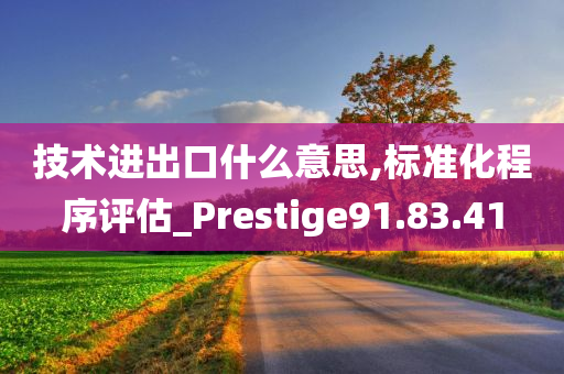 技术进出口什么意思,标准化程序评估_Prestige91.83.41