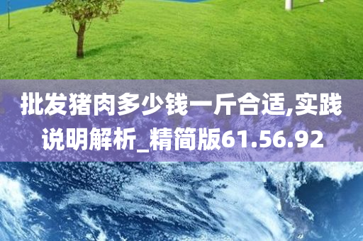 批发猪肉多少钱一斤合适,实践说明解析_精简版61.56.92