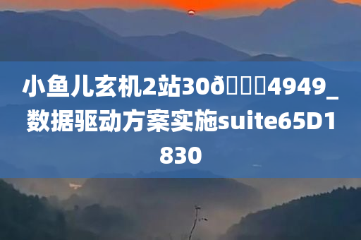 小鱼儿玄机2站30🐎4949_数据驱动方案实施suite65D1830