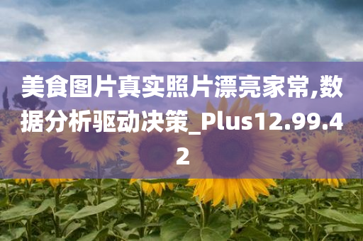 美食图片真实照片漂亮家常,数据分析驱动决策_Plus12.99.42