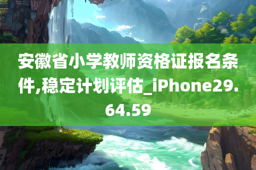 安徽省小学教师资格证报名条件,稳定计划评估_iPhone29.64.59