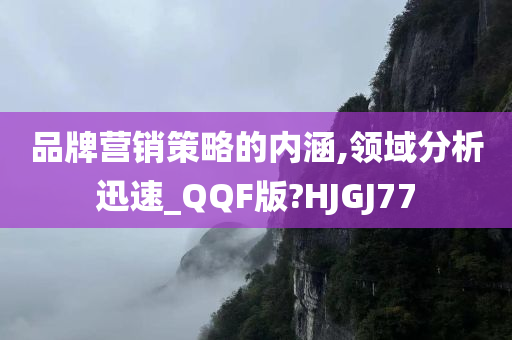 品牌营销策略的内涵,领域分析迅速_QQF版?HJGJ77