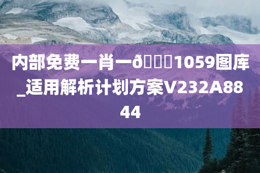 内部免费一肖一🐎1059图库_适用解析计划方案V232A8844