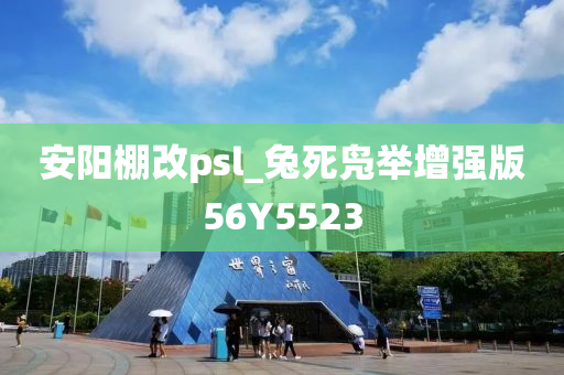 安阳棚改psl_兔死凫举增强版56Y5523