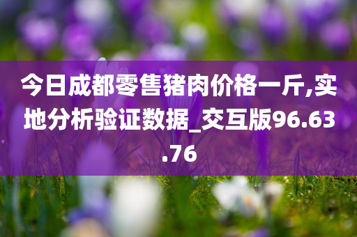 今日成都零售猪肉价格一斤,实地分析验证数据_交互版96.63.76