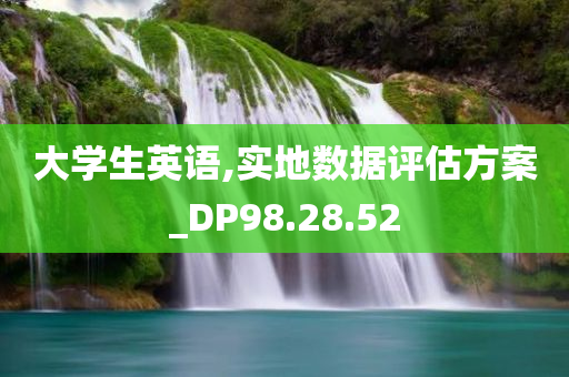 大学生英语,实地数据评估方案_DP98.28.52