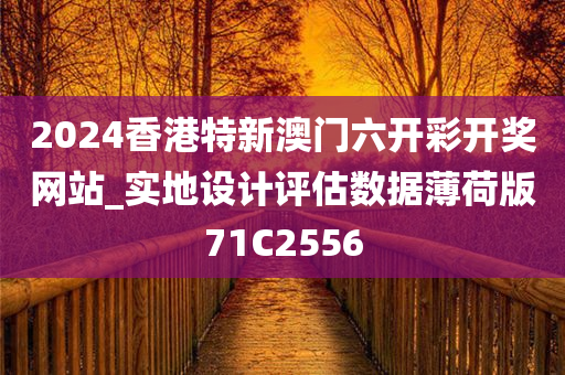 2024香港特新澳门六开彩开奖网站_实地设计评估数据薄荷版71C2556