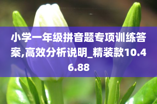 小学一年级拼音题专项训练答案,高效分析说明_精装款10.46.88