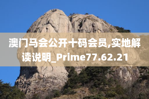 澳门马会公开十码会员,实地解读说明_Prime77.62.21