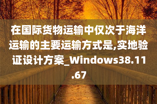 在国际货物运输中仅次于海洋运输的主要运输方式是,实地验证设计方案_Windows38.11.67