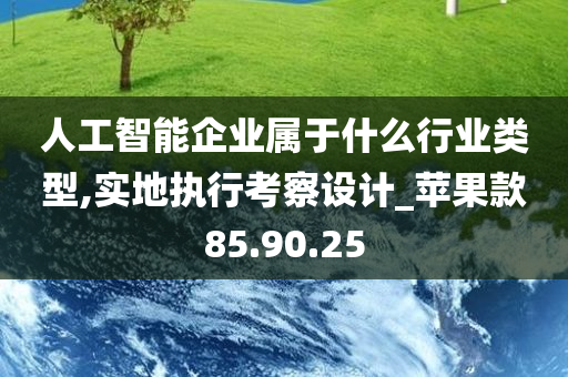 人工智能企业属于什么行业类型,实地执行考察设计_苹果款85.90.25