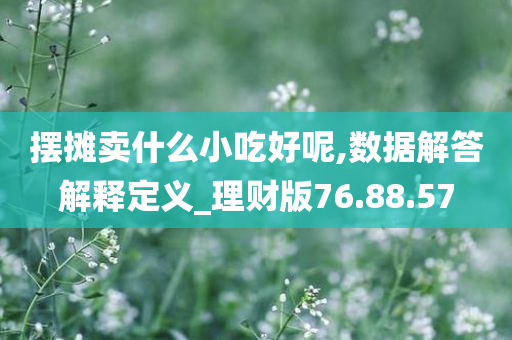 摆摊卖什么小吃好呢,数据解答解释定义_理财版76.88.57